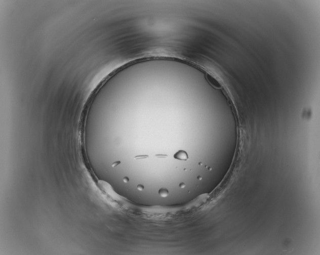 X0000111391141200907241328