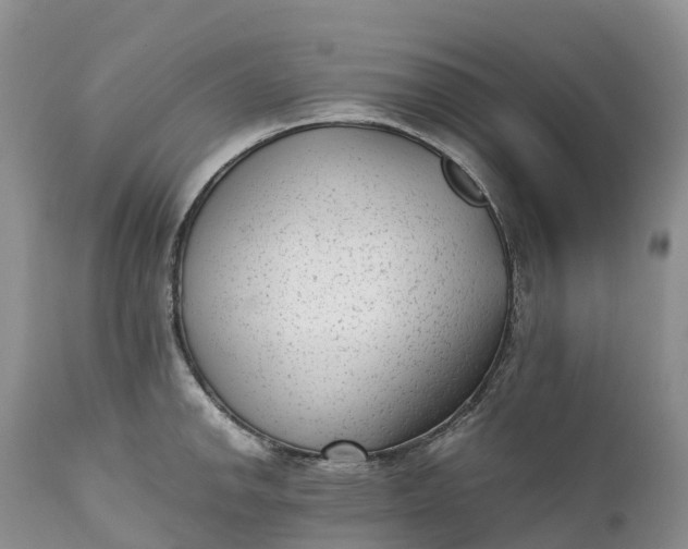 X0000111391142200907241328