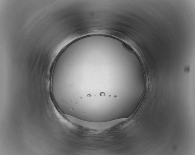 X0000111391143200907241328