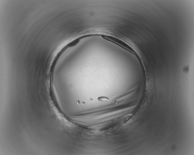 X0000111391144200907241328