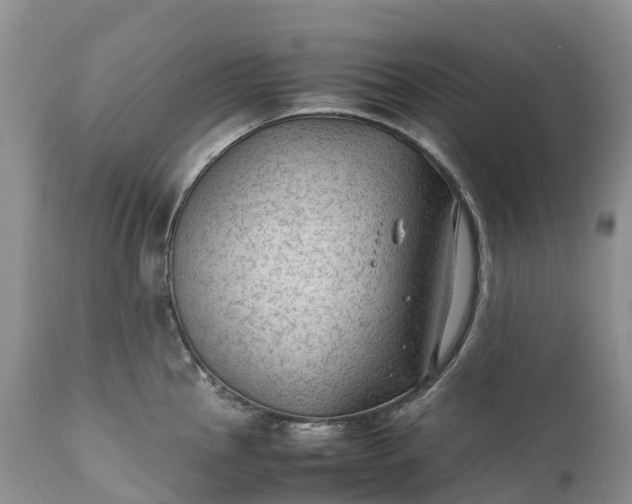 X0000111391145200907241328