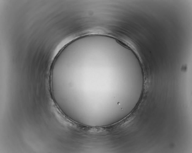 X0000111391146200907241328