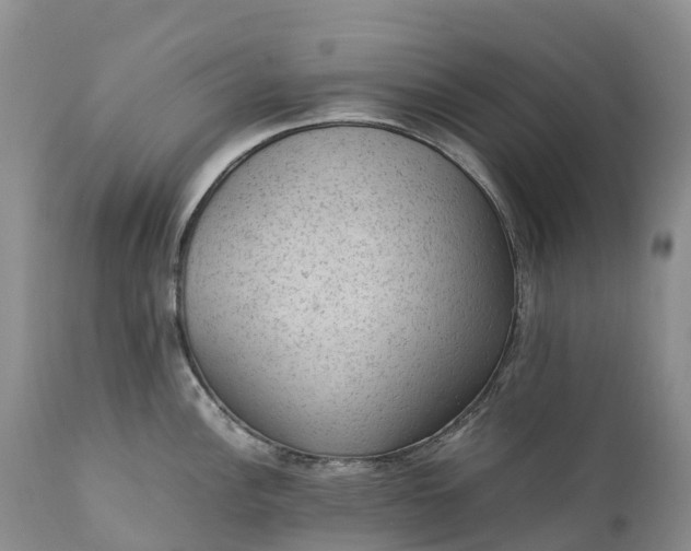 X0000111391148200907241328