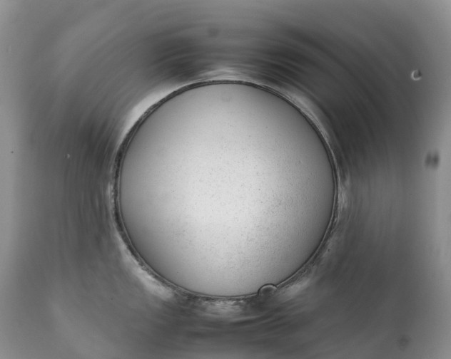 X0000111391149200907241328