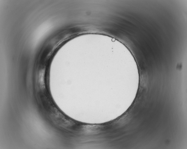 X0000111391150200907241328