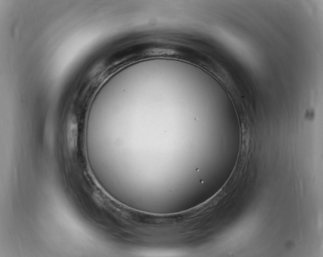 X0000111391151200907241328