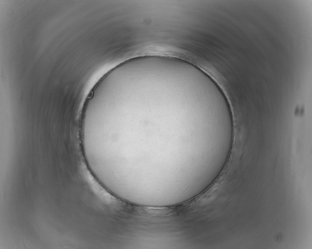 X0000111391152200907241328