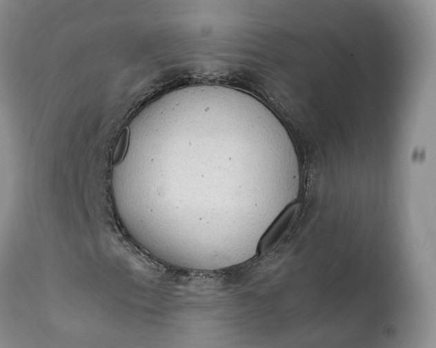 X0000111391153200907241327