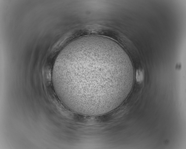 X0000111391155200907241327