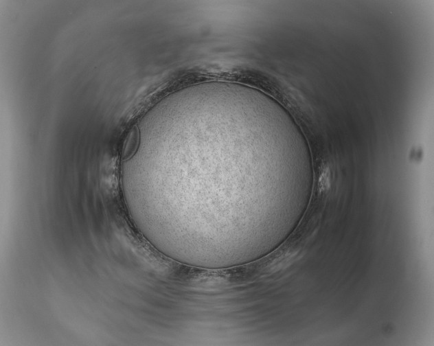 X0000111391156200907241327