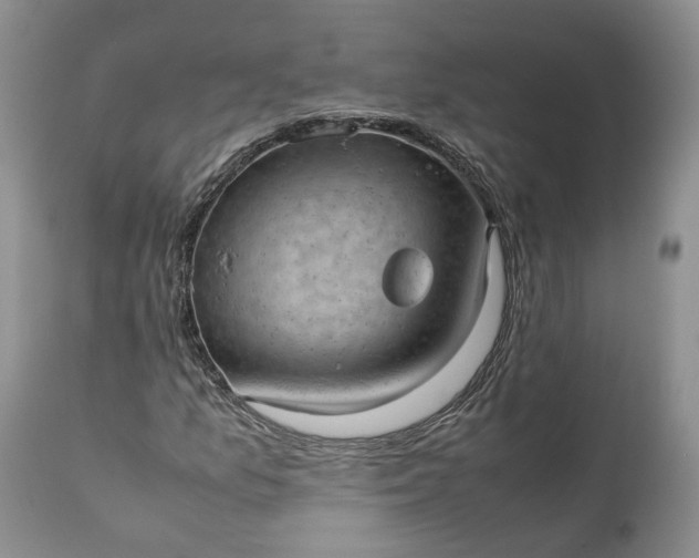 X0000111391157200907241327