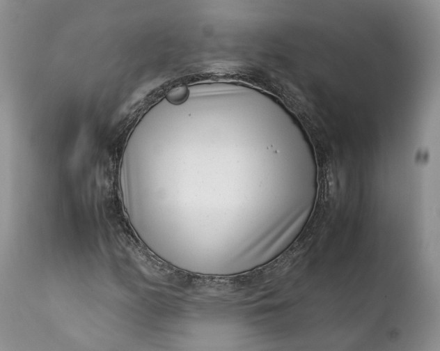 X0000111391158200907241327