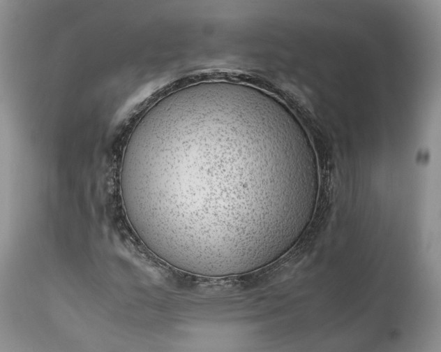 X0000111391159200907241327