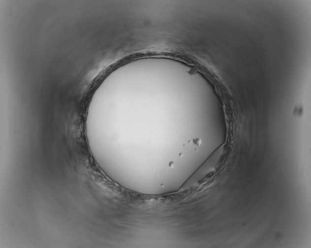 X0000111391160200907241327