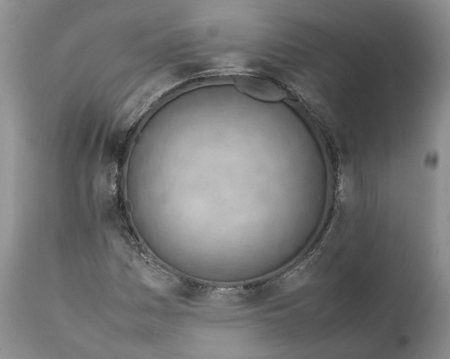 X0000111391161200907241327