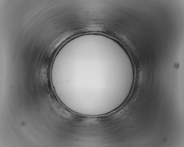 X0000111391162200907241327