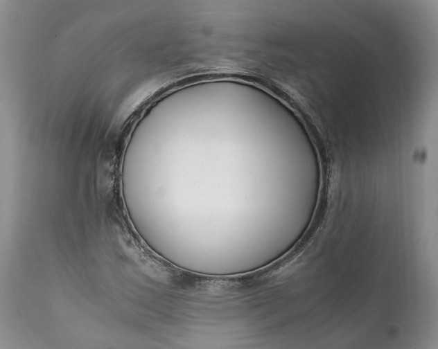 X0000111391163200907241327