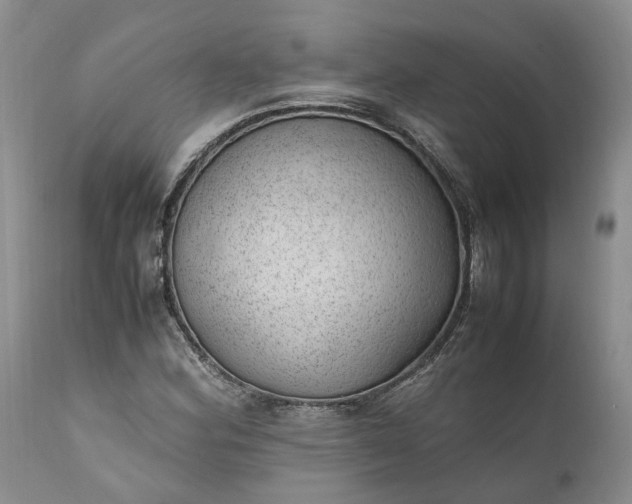 X0000111391164200907241327