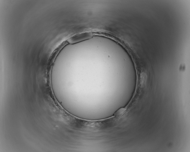 X0000111391165200907241327