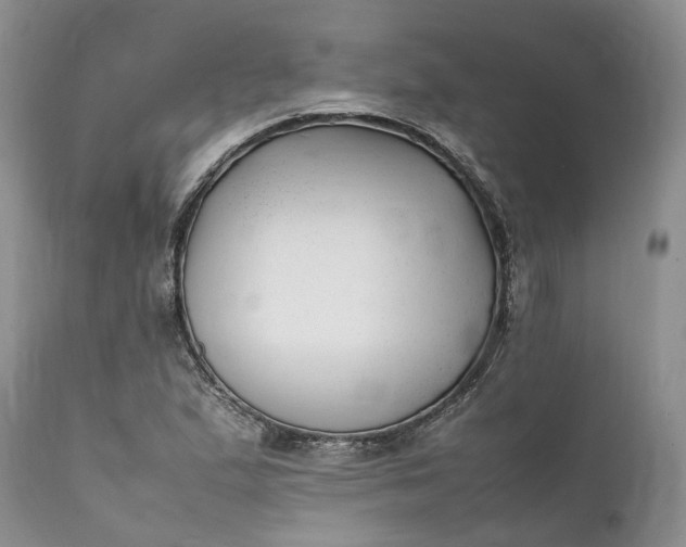 X0000111391167200907241327