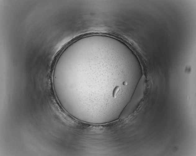 X0000111391168200907241327