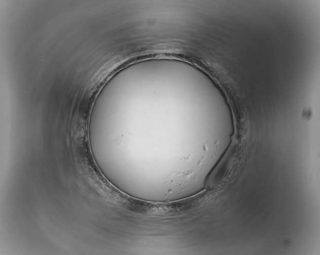 X0000111391169200907241327