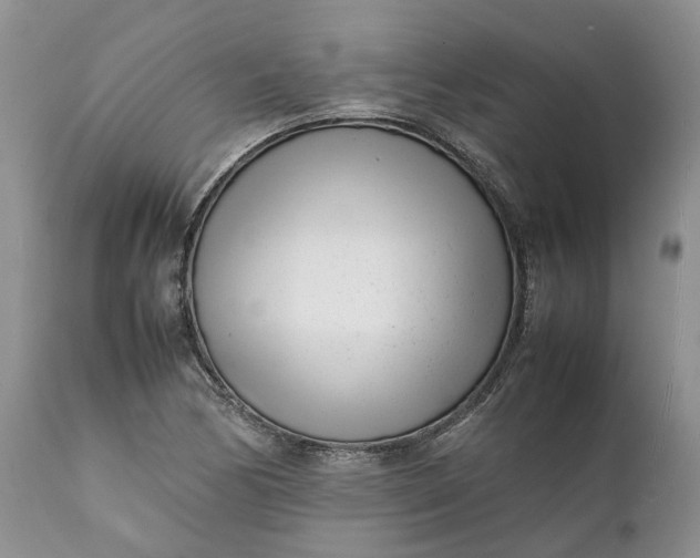 X0000111391170200907241327