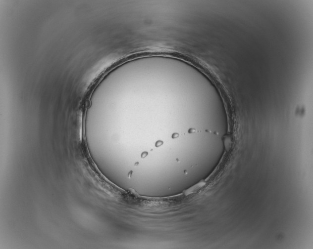 X0000111391171200907241327