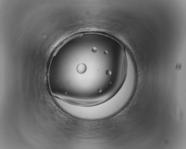 X0000111391173200907241327