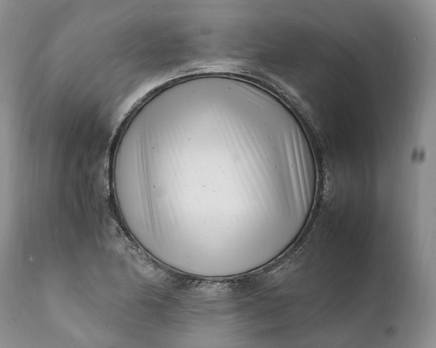 X0000111391174200907241327