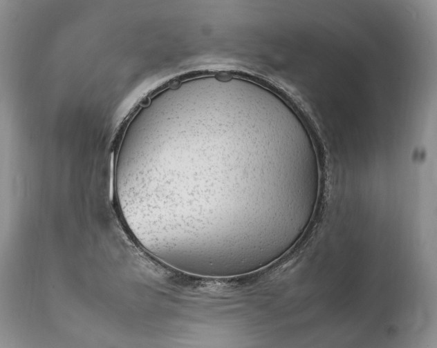 X0000111391175200907241327