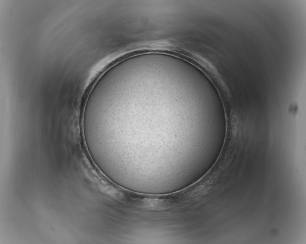 X0000111391176200907241327