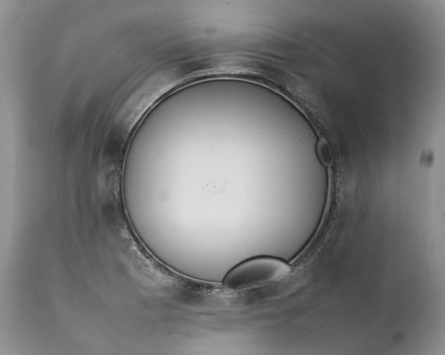 X0000111391177200907241327