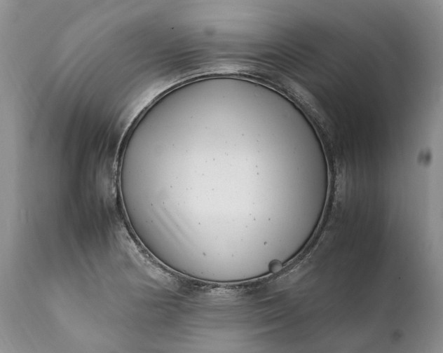 X0000111391178200907241327