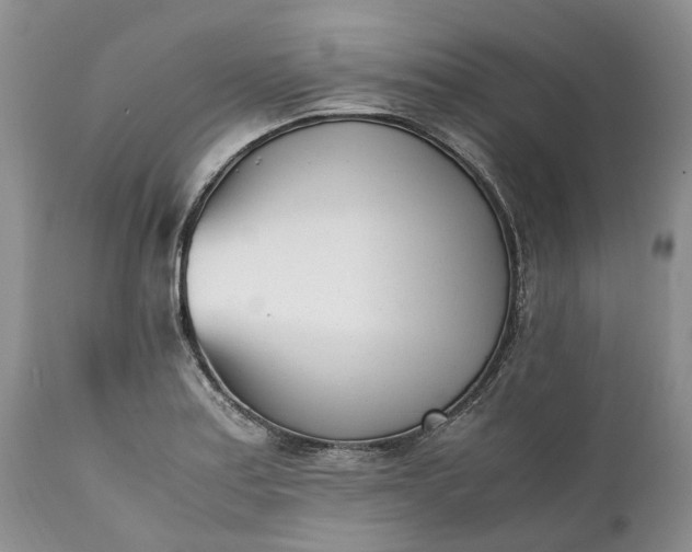 X0000111391179200907241327