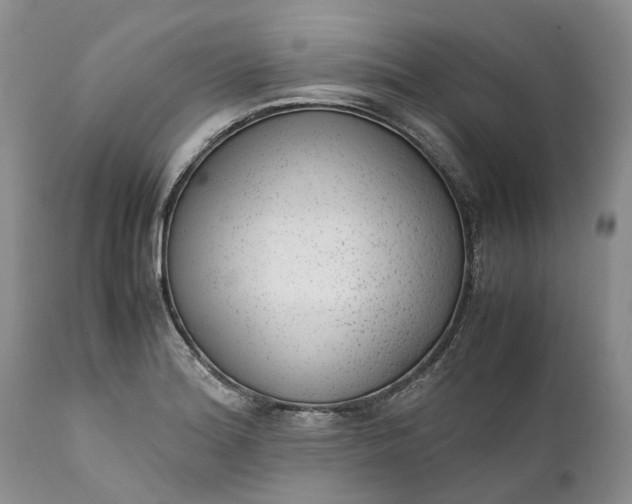 X0000111391180200907241327