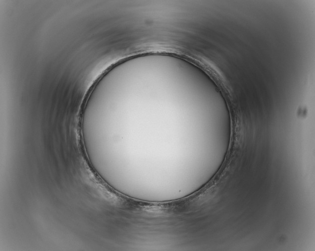 X0000111391182200907241327