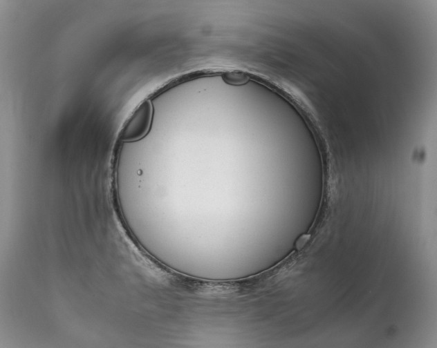 X0000111391183200907241327