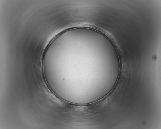 X0000111391184200907241327