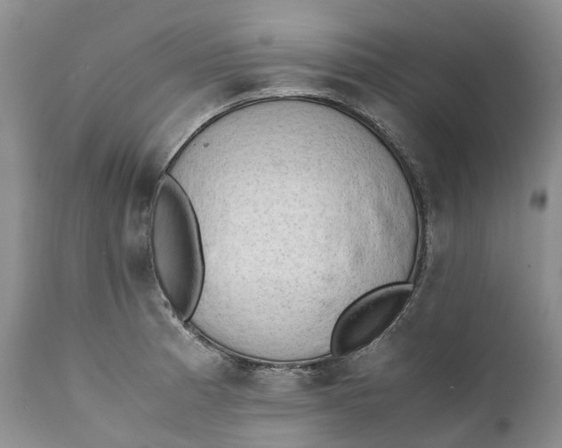 X0000111391185200907241327