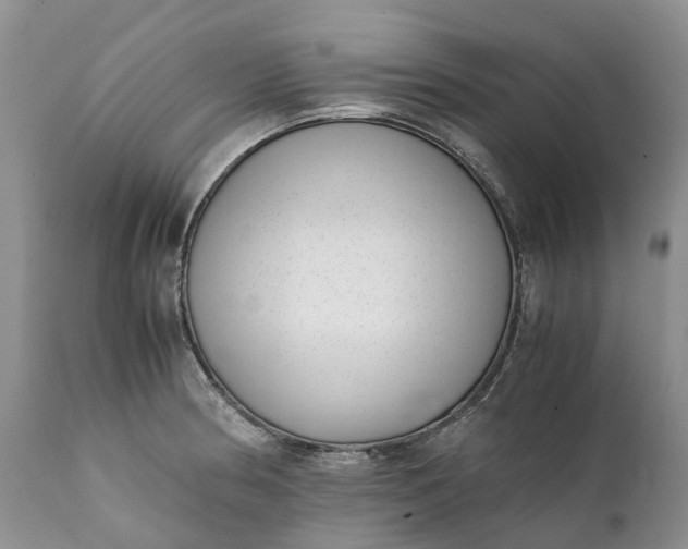 X0000111391186200907241327