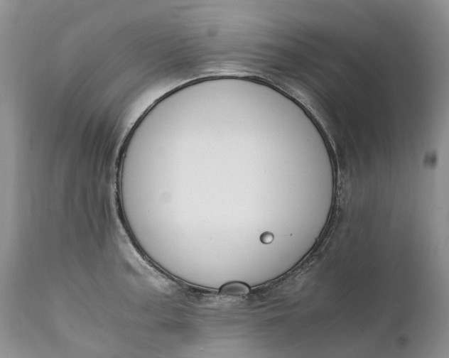 X0000111391187200907241326