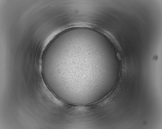 X0000111391188200907241326