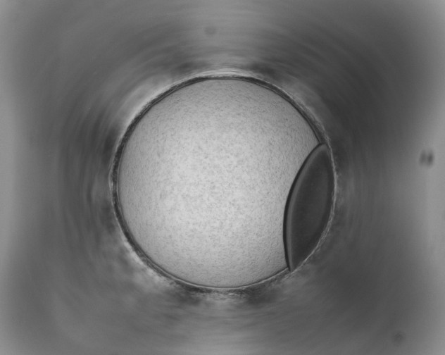 X0000111391189200907241326