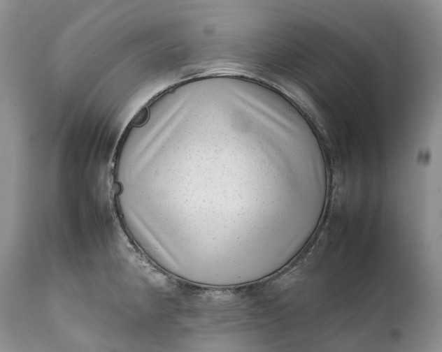 X0000111391190200907241326