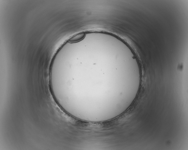 X0000111391191200907241326