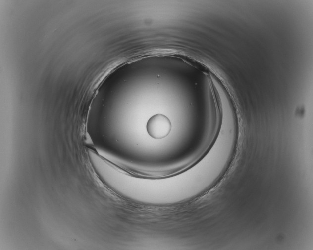 X0000111391193200907241326