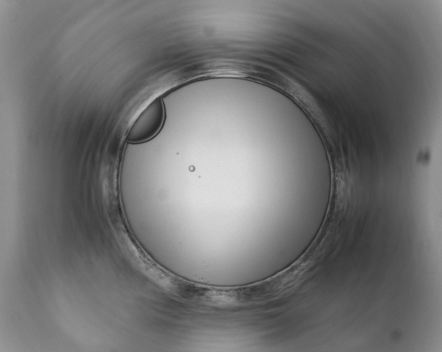 X0000111391194200907241326