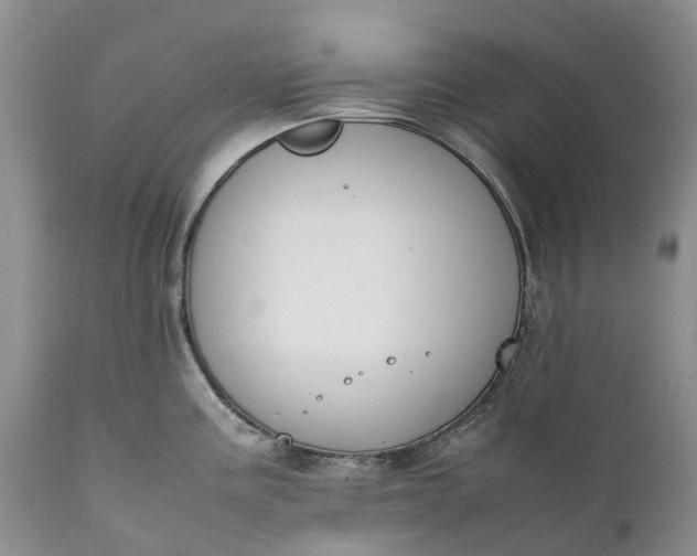 X0000111391195200907241326