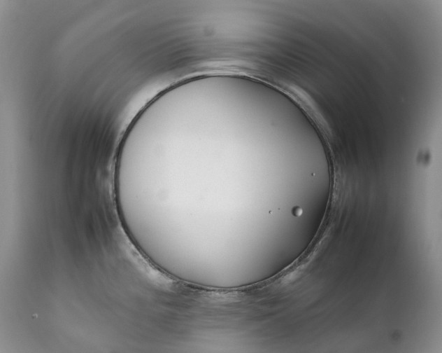 X0000111391196200907241326